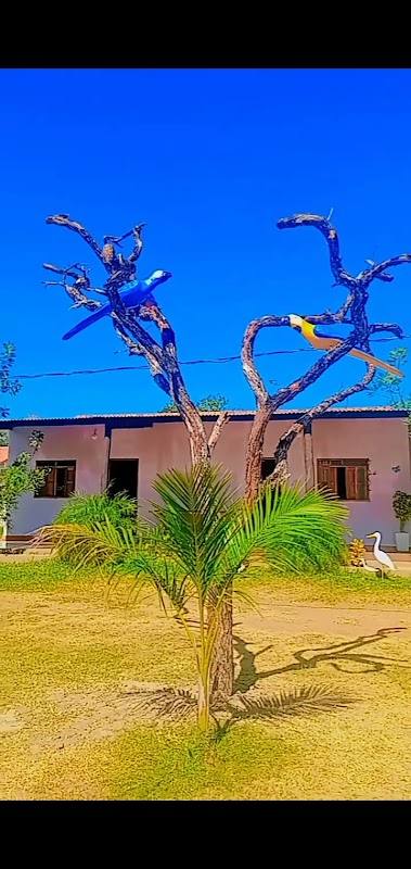 Posada Rio Apa