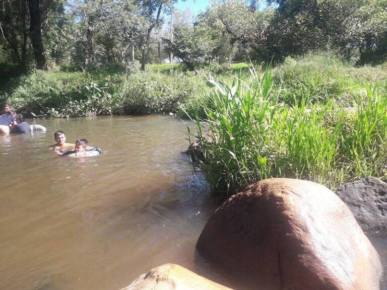 Quinta MARECO WEBER**