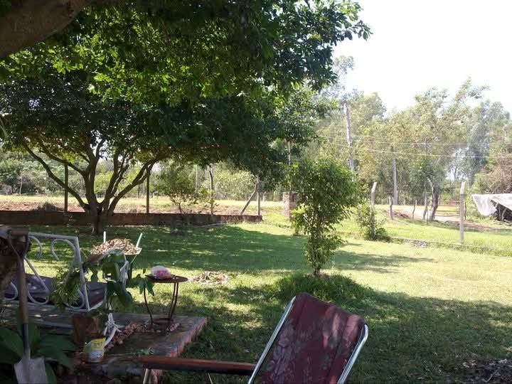 Quinta Ñande Vyaha