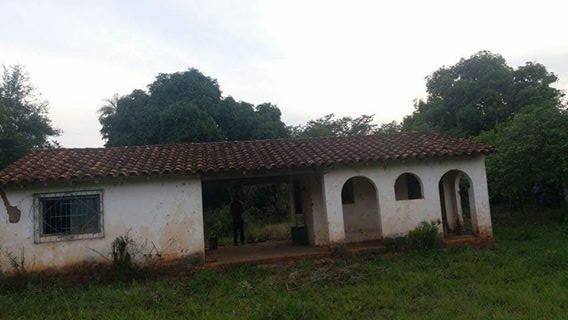 Quinta Purificación