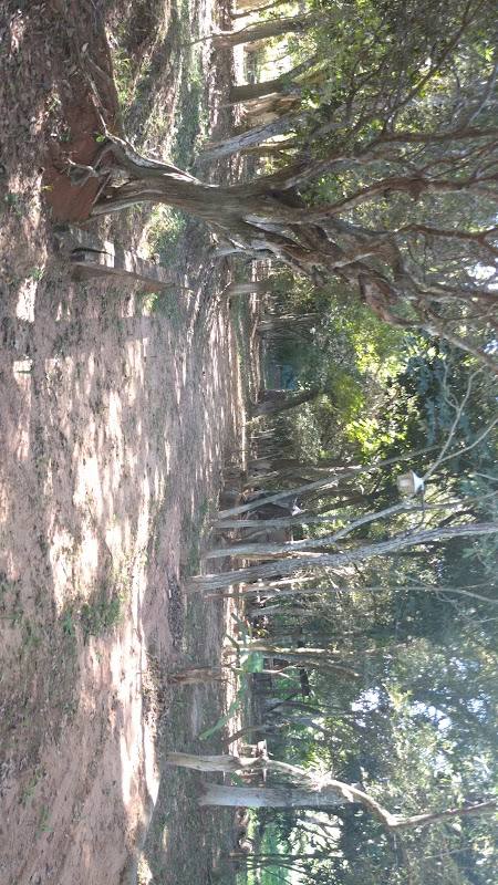 Rancho Cardozo Ferreira