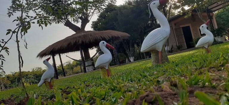 Rancho Carlitos