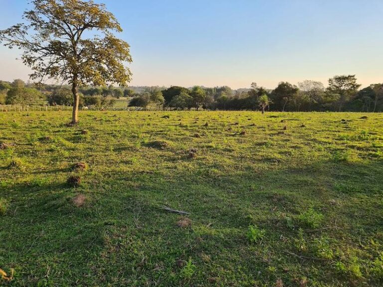 Rancho CELMAREZ