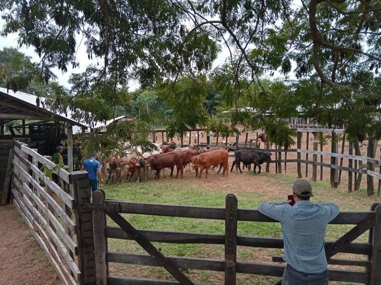Rancho Che Vy'aha