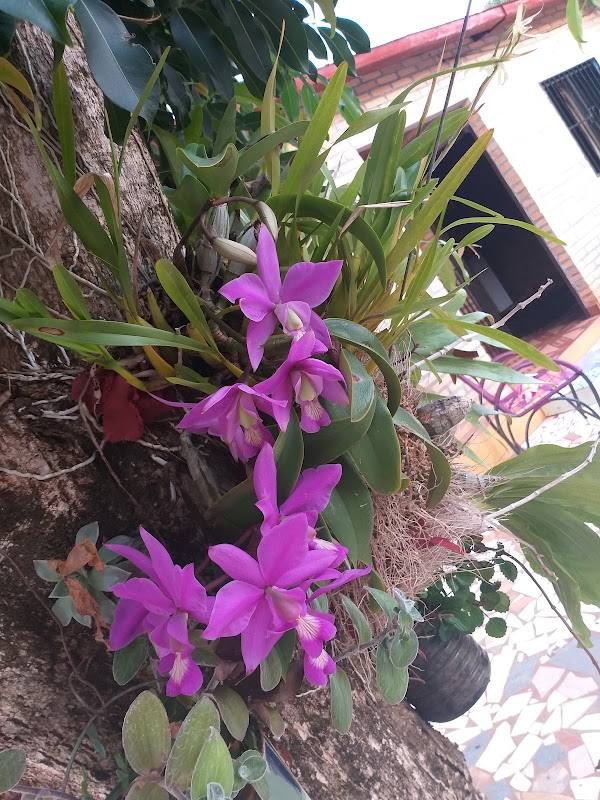 Rancho don Chilo Yrybucua