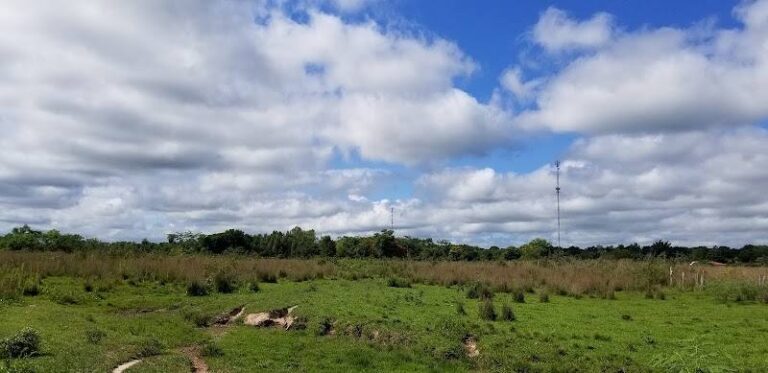 Rancho Don Miguel Colman