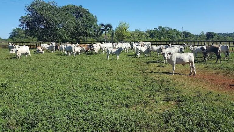 Rancho E5 Patricia Chavez