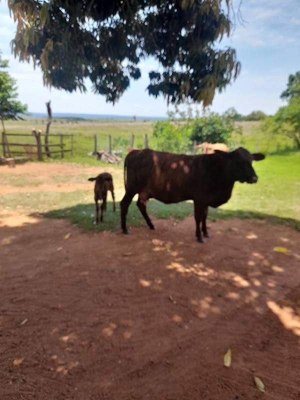 Rancho el Abuelo