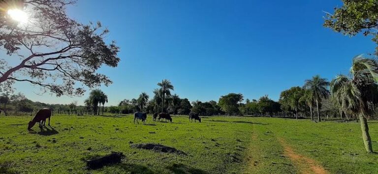 Rancho los Nietos