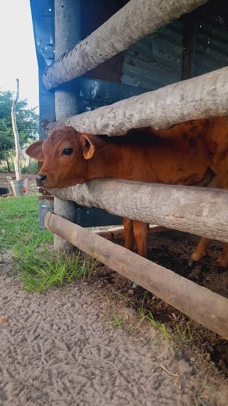 Rancho Mi Retiro