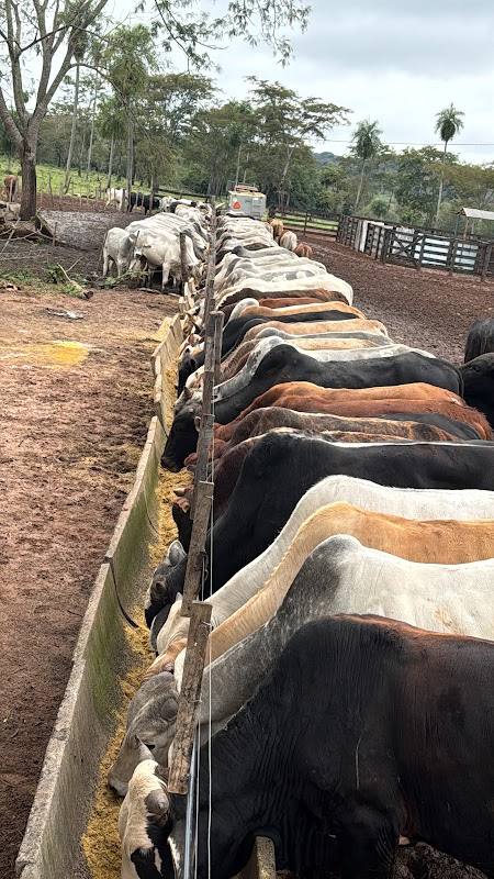 Rancho N79