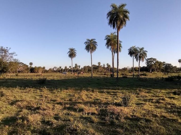 Rancho Ña Delia