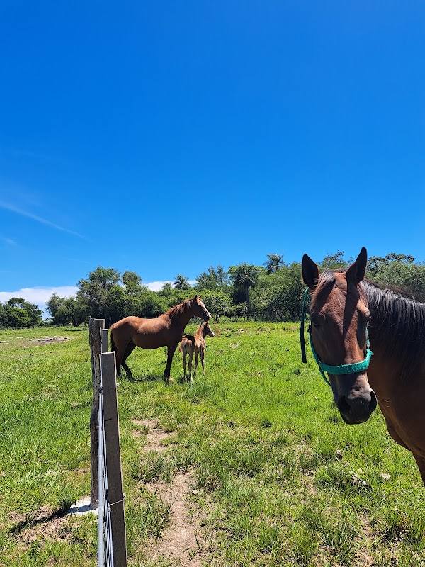 Rancho Ña Filina - caapucú