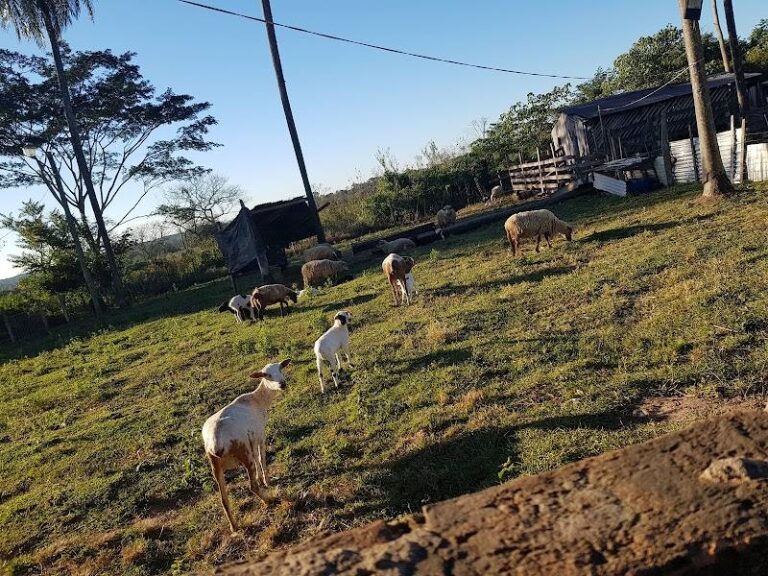 Rancho Ña Margrita