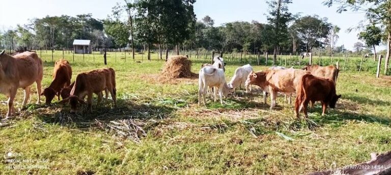 Rancho San Isidro
