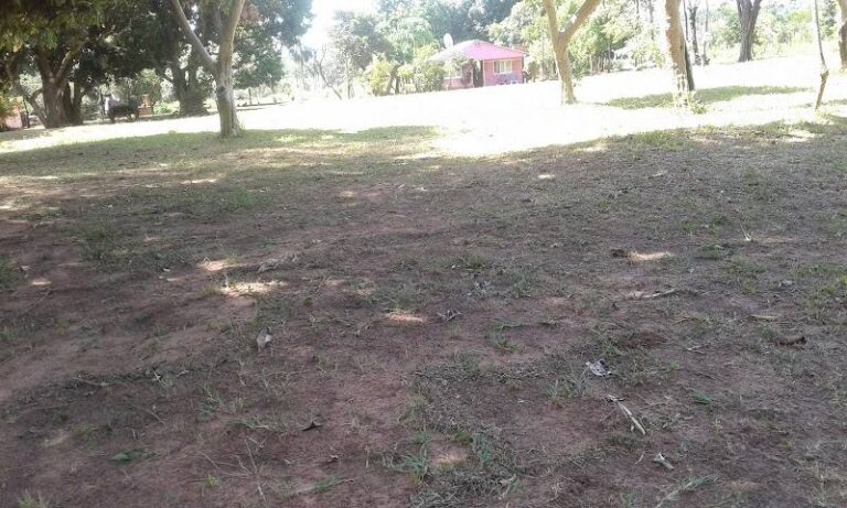 Rancho “San Roque”