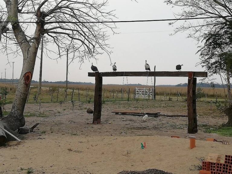 Rancho Santa Elena