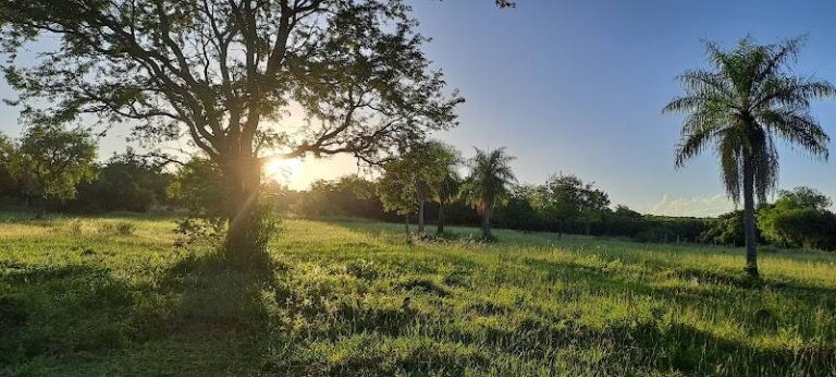Rancho Tatarê