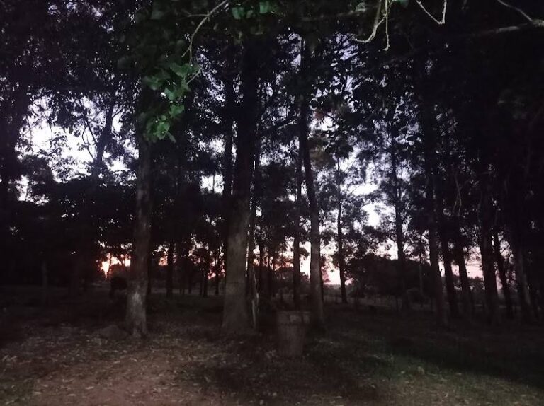 Rancho Vy' a Renda
