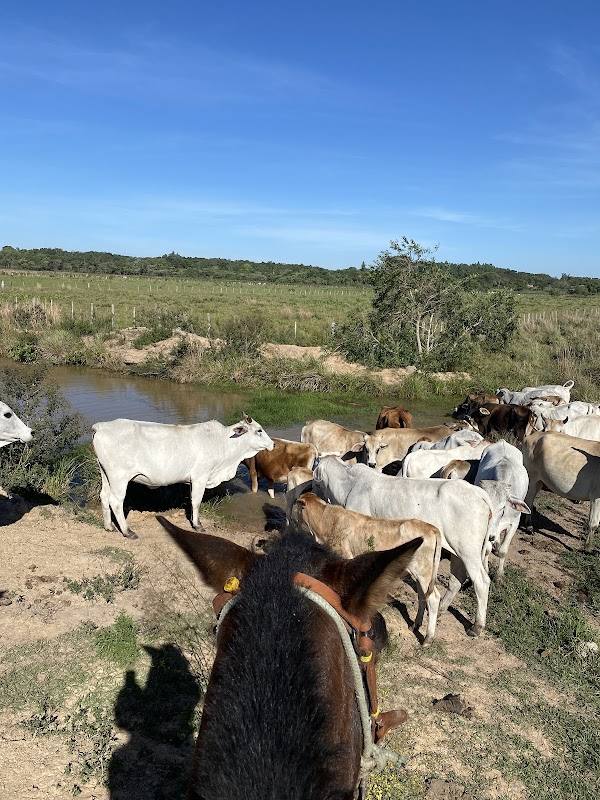 Rancho Ykua Angu’a F&E