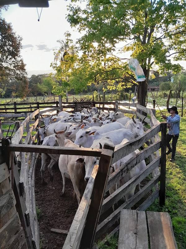 Rancho Zelaya