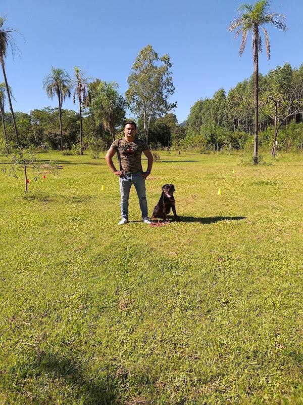 Resort hotel canino spa